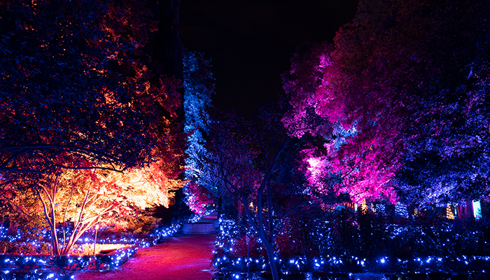 Naturaleza Encendida - Aquatic